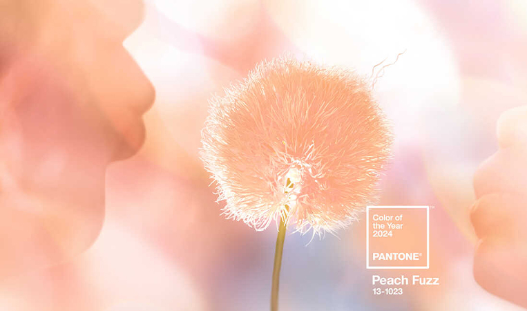 Cor do ano Pantone 2024: Peach Fuzz 